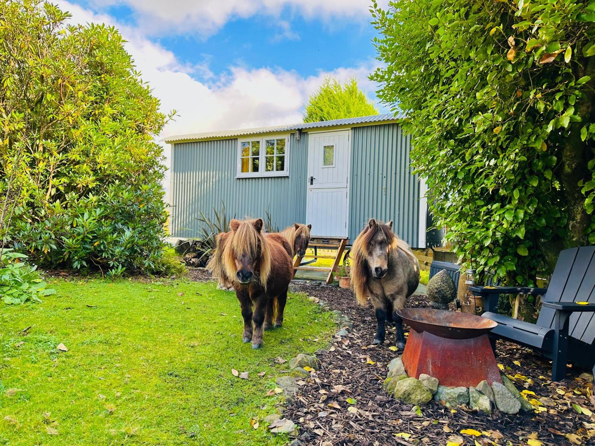 Miners Hut Farm stay St Austell