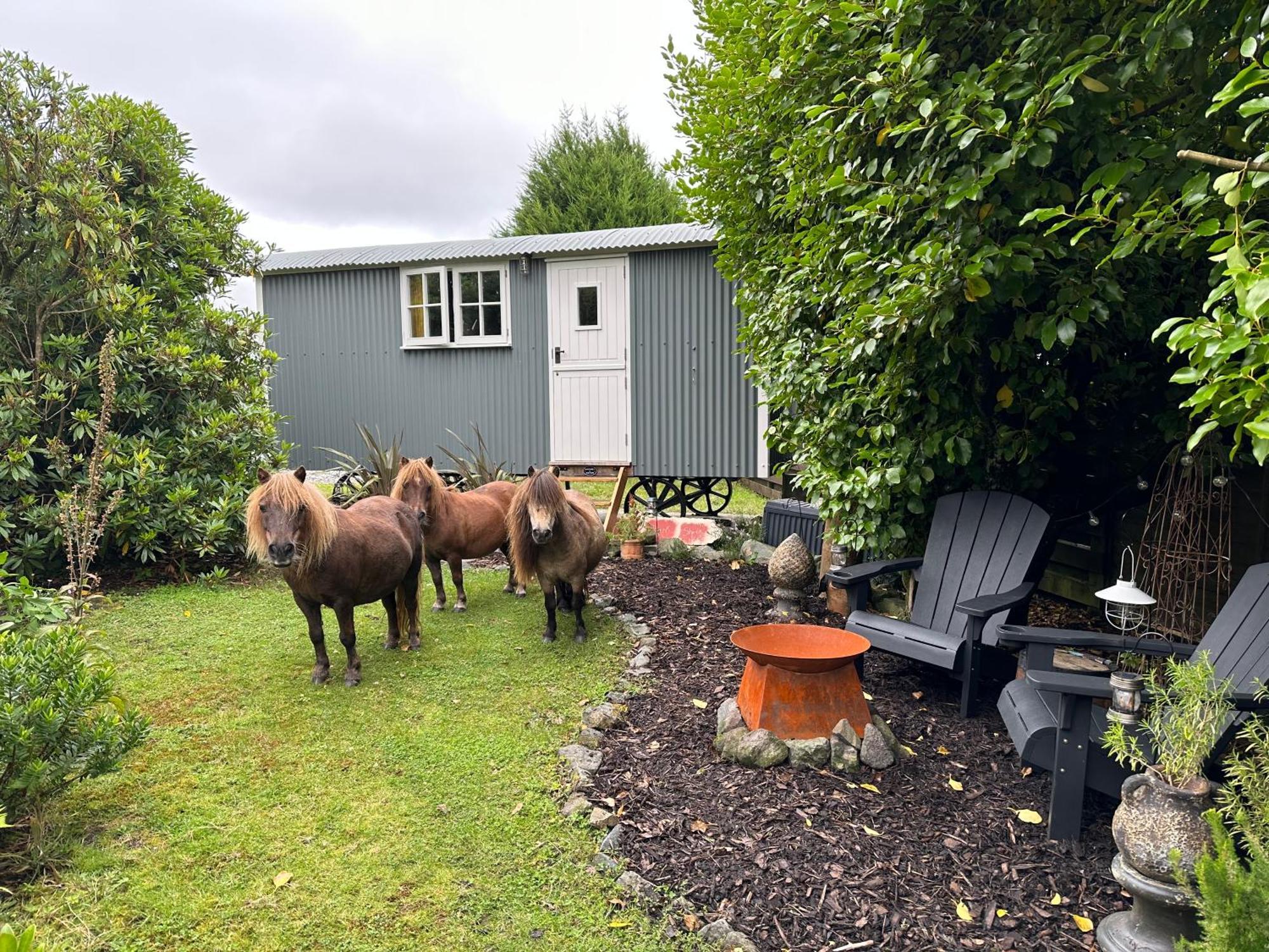 Miners Hut Farm stay *